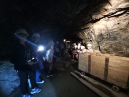 Viaje a Almaden 2025