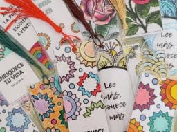 494715255_18264552904263484_7904109090069651355_n